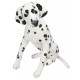 Melissa & Doug - Plush Dalmation Dog - 2110-Plush-Dalmation-Dog.jpg