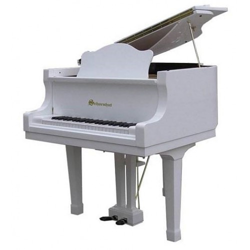 schoenhut baby piano