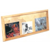 Deluxe Picture Display Window, 48''w